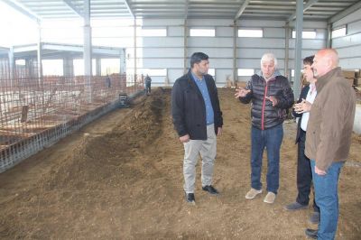 �En este momento la construcci�n de la planta se encuentran en un 75% de avance�