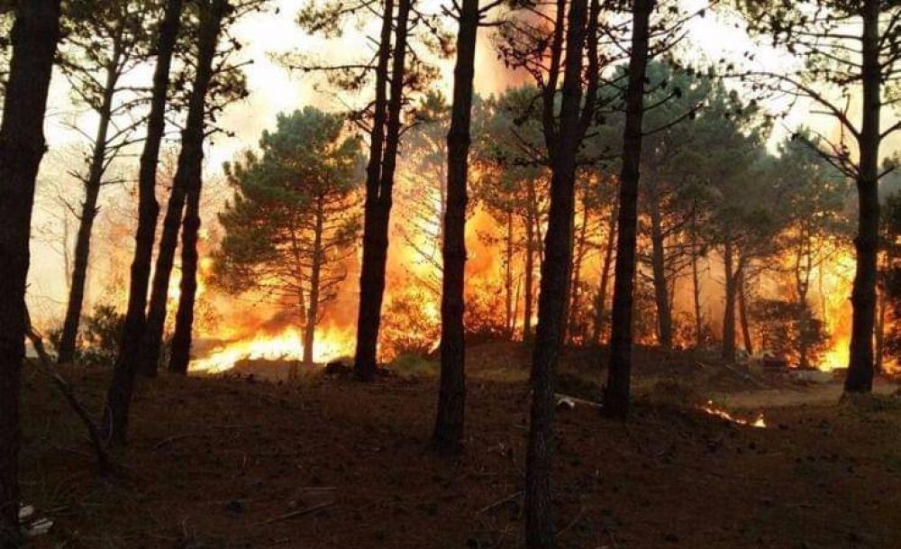 Incendio en Valeria del Mar: el fuego ya consumi 50 hectreas y piden evacuar la zona