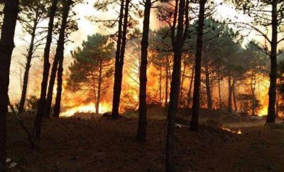 Incendio en Valeria del Mar: el fuego ya consumi� 50 hect�reas y piden evacuar la zona