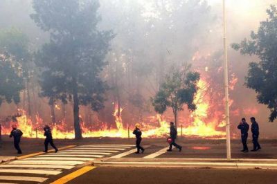 El intendente de Pinamar, Mart�n Yeza, asegur� que el voraz incendio fue intencional