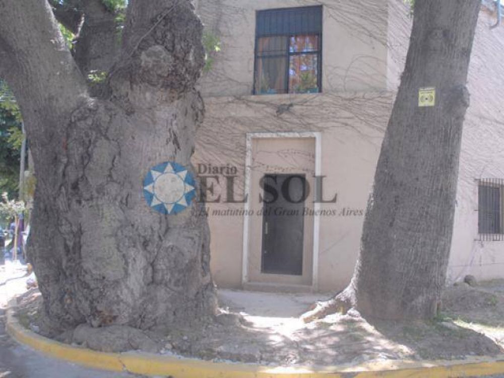 Piden sacar �rboles