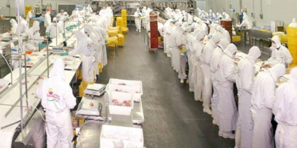 El frigorfico avcola Tres Arroyos cerr su planta de Entre Ros: 1.100 trabajadores quedaron en la calle