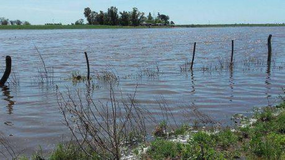 La Naci�n declar� la emergencia agropecuaria en distritos bonaerenses y departamentos de La Pampa