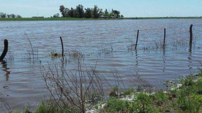 La Naci�n declar� la emergencia agropecuaria en distritos bonaerenses y departamentos de La Pampa