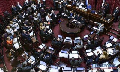 El proyecto de Ganancias divide a senadores locales