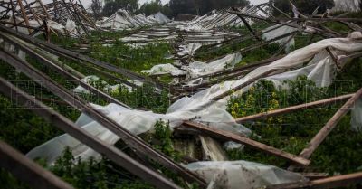 Cord�n frutihort�cola: �Esta temporada va a ser para pagar deuda�