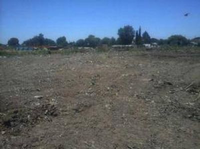 Basural: Pilar y Jos� C. Paz finalizaron la limpieza