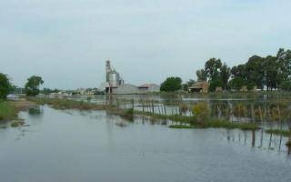Naci�n declar� la Emergencia agropecuaria en distritos bonaerenses