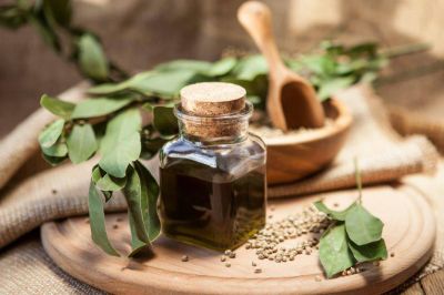 Senadores: Se promulg� la ley del uso de cannabis medicinal y el tratamiento del TDA