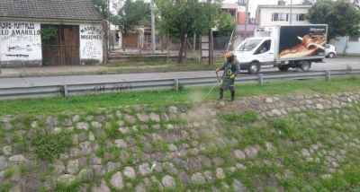 Mantenimiento de la limpieza en el canal Constituci�n