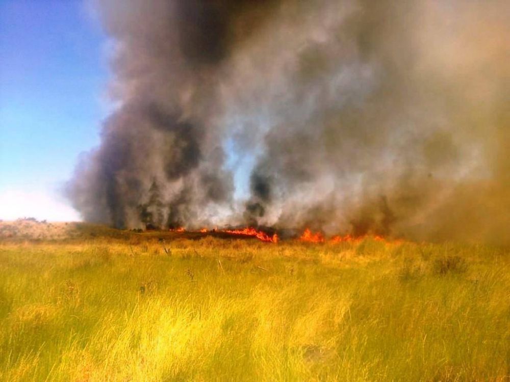 Crece la preocupaci�n por los incendios en la Provincia de Buenos Aires