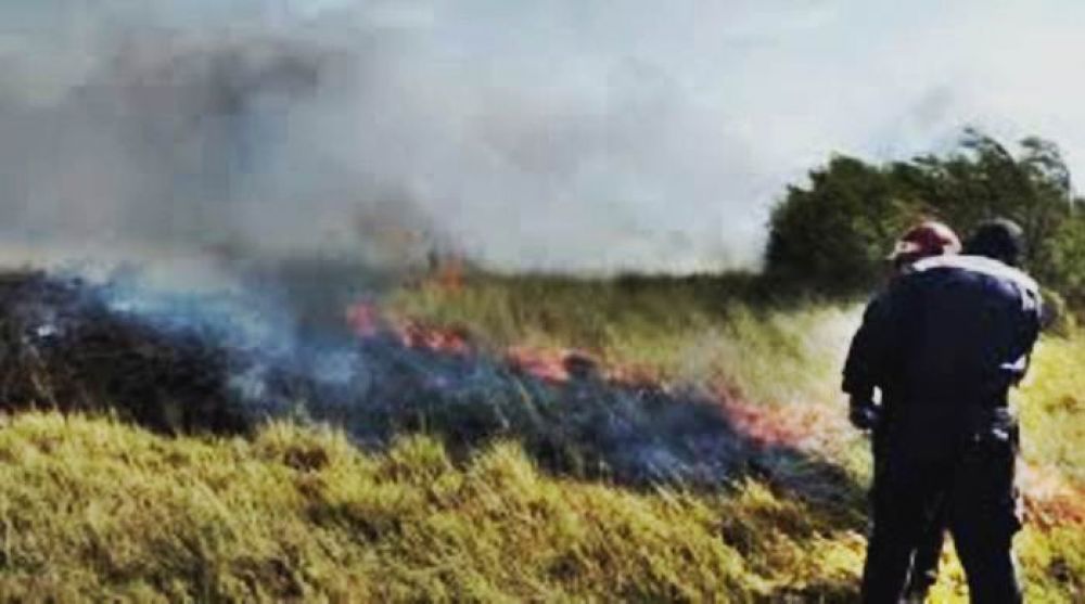 No ceden los incendios de pastos: m�s de 70 llamados a bomberos