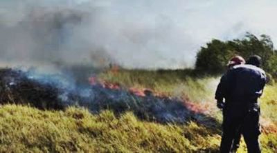 No ceden los incendios de pastos: m�s de 70 llamados a bomberos