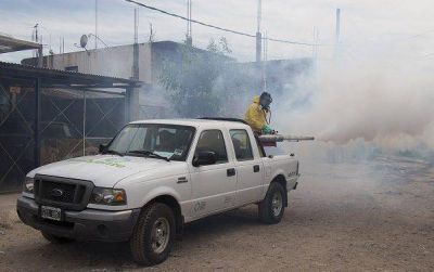 EL MUNICIPIO REALIZAR� UN OPERATIVO INTEGRAL CONTRA EL DENGUE EN REMEDIOS DE ESCALADA
