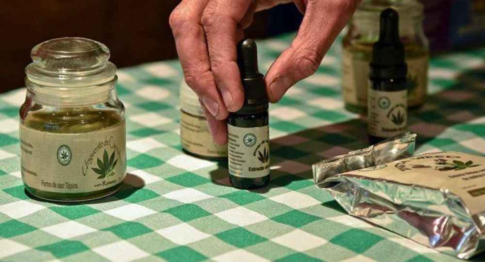 El cannabis medicinal ya es una realidad en Salta