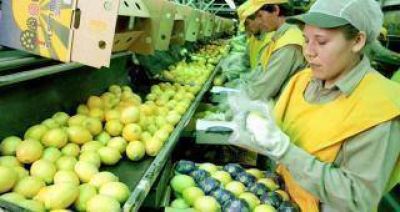 El lim�n tucumano regresa al mercado de Estados Unidos
