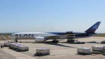 La exportaci�n de ar�ndanos tucumanos creci� un 60% en este 2016
