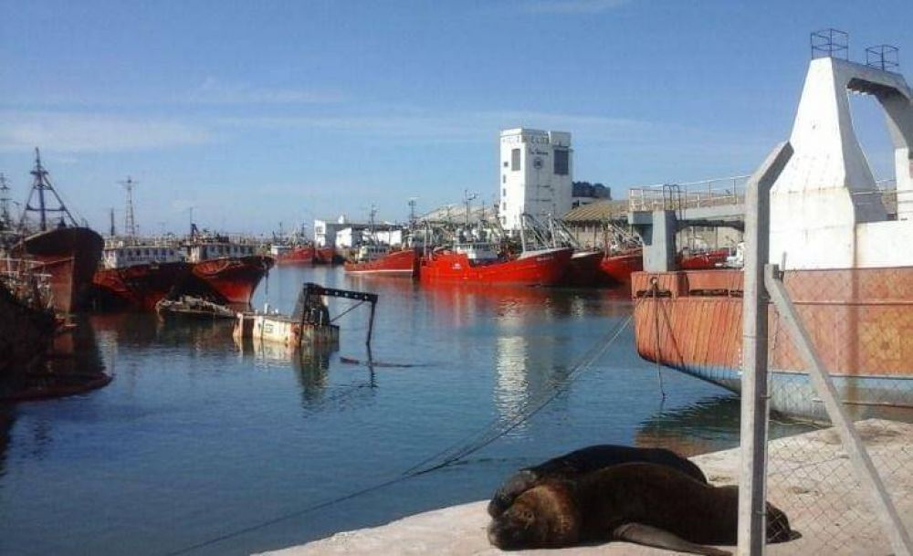 El 2016 para la pesca marplatense: dilogo y beneficios que no la sacan del letargo