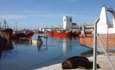 El 2016 para la pesca marplatense: diálogo y beneficios que no la sacan del letargo