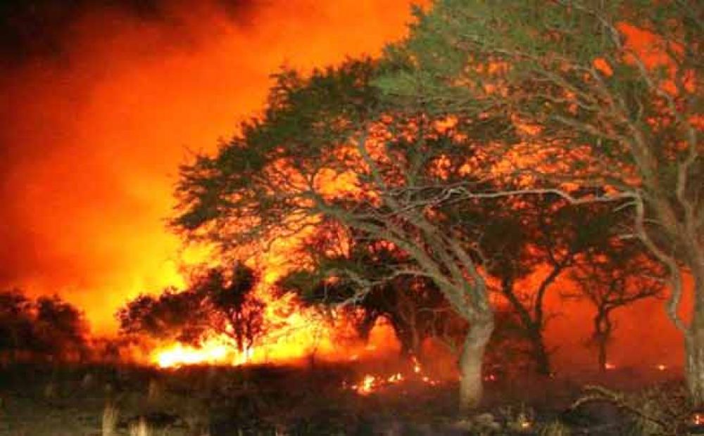 Defensa Civil espera terminar hoy con todos los incendios rurales