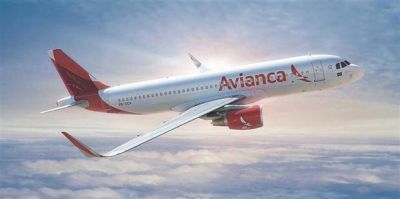 La llegada de nuevas aerol�neas pone en guardia a los gremios