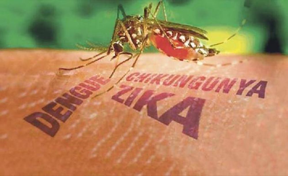 Nacin entrega a las provincias ms insumos para luchar contra el dengue