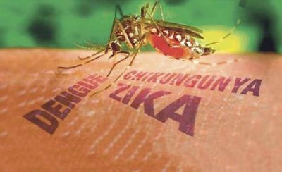 Naci�n entrega a las provincias m�s insumos para luchar contra el dengue