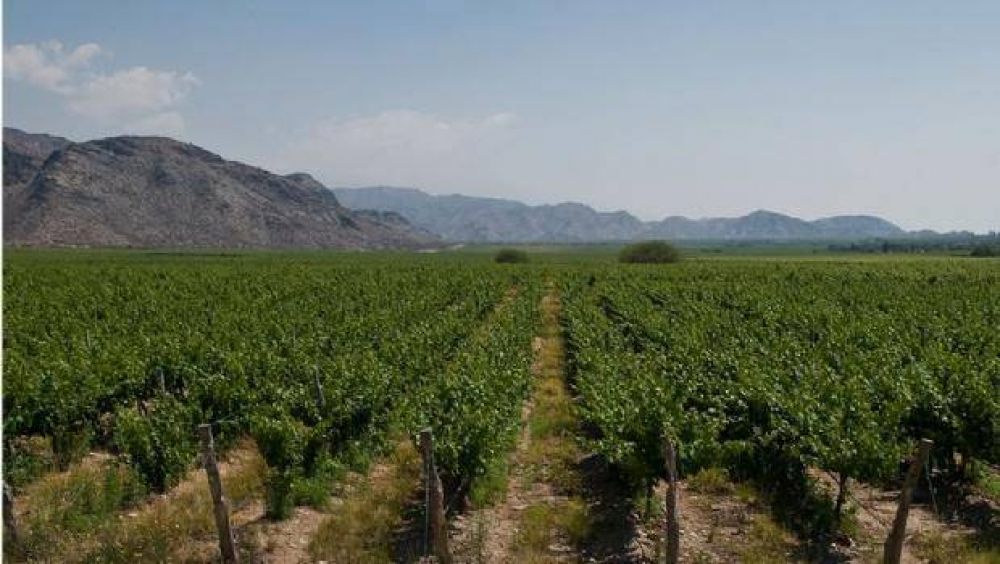 Siguen retrasados los fondos para productores vit�colas