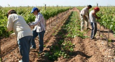 Trabajadores rurales cobrar�n bono de fin de a�o de $ 2.000