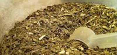 Inspecciones del INYM ratifican el stock de yerba mate canchada 
