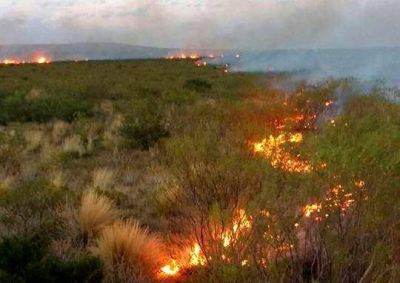 Una sola tormenta gener� 30 incendios