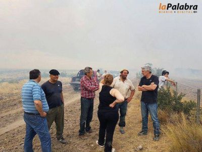 Nuevos incendios en Patagones: Zara recorri� las zonas afectadas