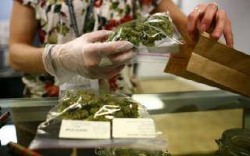 Bonaerenses comparten experiencias sobre el uso medicinal del cannabis