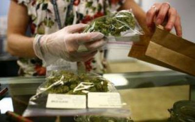 Bonaerenses comparten experiencias sobre el uso medicinal del cannabis