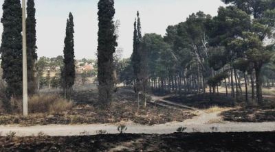 Un incendio afect� parte del predio de ABSA