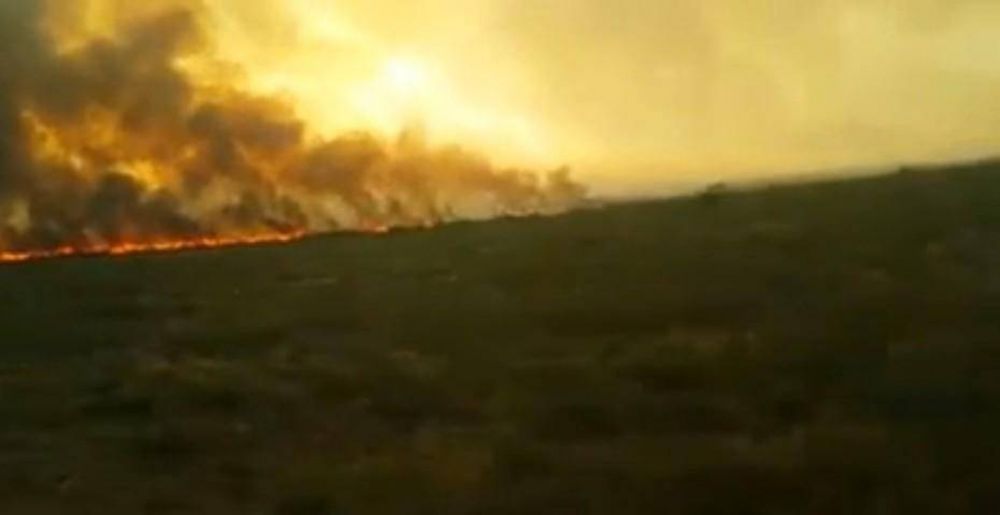 Incendio en La Pampa: se quemaron 300 mil hectreas