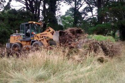 El EMSUR limpio cerca de 50 microbasurales en Sierra de los Padres