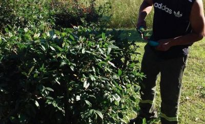 Contin�an los trabajos para mejorar distintos espacios verdes de Escobar