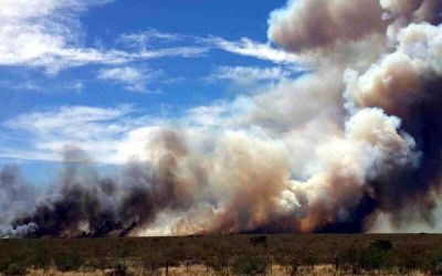 Por los incendios, ATE lanz� campa�a solidaria y cuestion� al gobierno