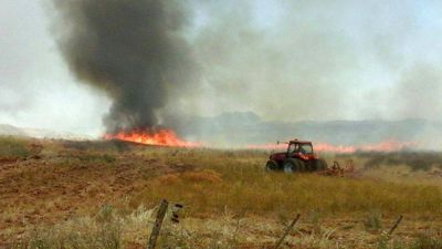 Dos incendios que se generaron en la costa de Dorrego avanzan hacia Oriente