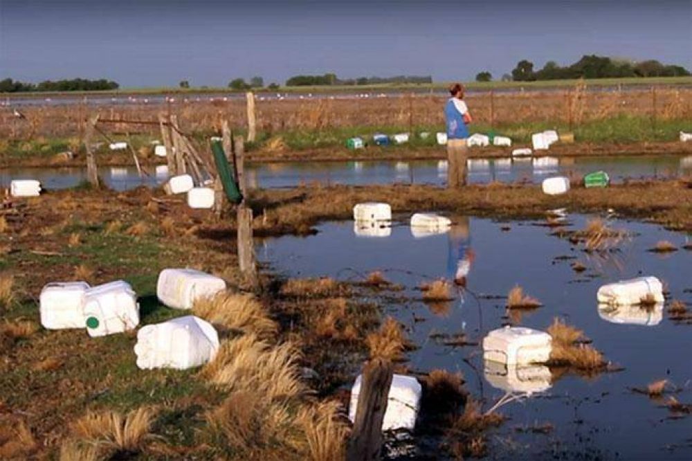 Contaminacin con agroqumicos: el Colectivo Sanitario reprocha la falta de preocupacin legislativa