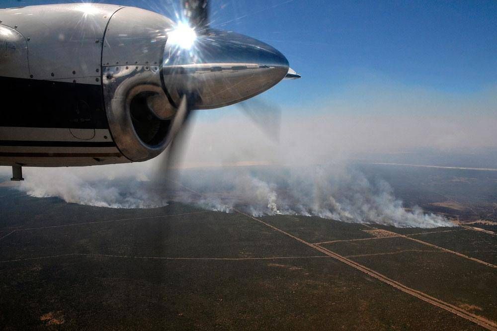 Los incendios ya consumieron 600 mil hectreas en La Pampa
