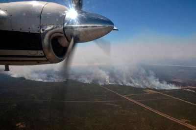 Los incendios ya consumieron 600 mil hect�reas en La Pampa