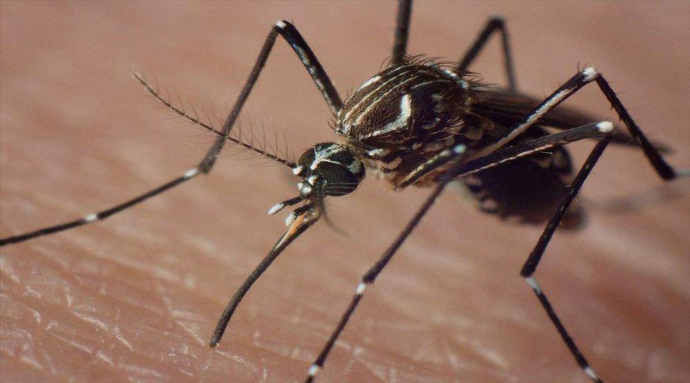 Capacitacin sobre dengue, zika y chikungunya