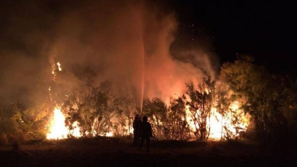 El fuego de La Pampa lleg a la provincia de Buenos Aires