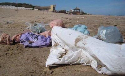 En defensa de las playas p�blicas, realizan una jornada de limpieza y un festival