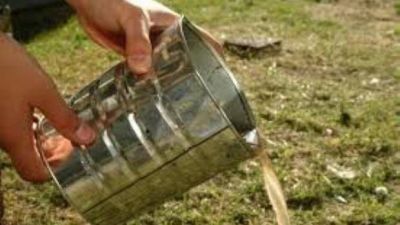 Dengue: qu� medidas pod�s tomar para prevenir