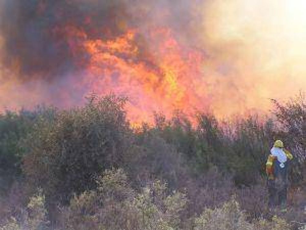 El ruralismo de Bah�a Blanca coordina acciones solidarias para productores afectados por los incendios