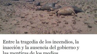 Cristina Kirchner ahora critica a Bergman por los incendios fuera de control