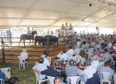 San Luis gan� terreno como regi�n ganadera